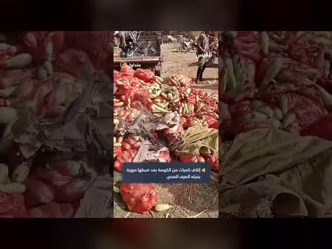 إتلاف كميات من الكوسة في إب بعد ضبطها مروية بمياه الصرف