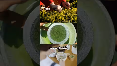 مستقبل مشروب الماتشا مهدد