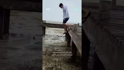 اختفاء البحر: ظاهرة غريبة قبالة سواحل لونغ آيلاند