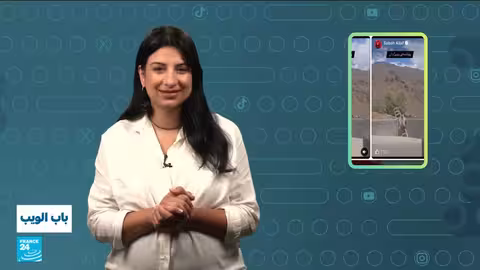 أحداث متنوعة: غش في الامتحانات، سائق تاكسي مغربي، دببة في العراق، وزفاف في لبنان.