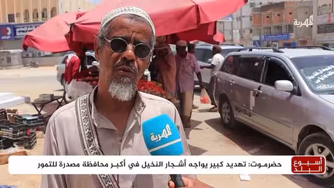 حضرموت: مزارعون يواجهون تحديات تهدد زراعة النخيل والتمور