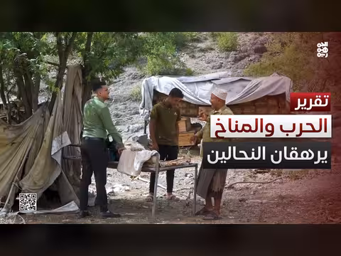 مربو النحل في اليمن: تحديات الحرب والمناخ