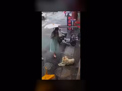 هجوم كلب عنيف على امرأة