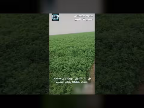 الصحراء تتحول إلى خضرة في الصين