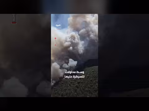 موجات الحر الشديدة تسببت بحريق كبير في البرتغال وإسبانيا