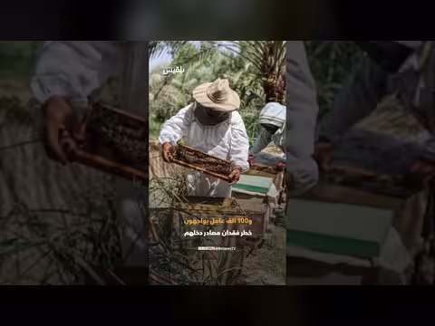 قطاع العسل اليمني يواجه تحديات كبيرة
