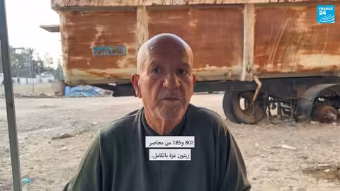 معاصر زيتون غزة تصمد بين الركام