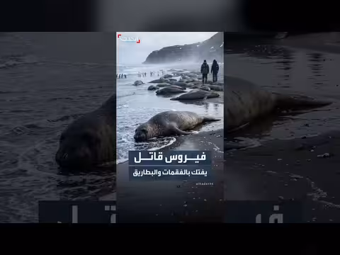 فيروس قاتل يهدد الفقمات والبطاريق في القطب الجنوبي