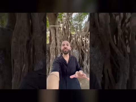 شجرة عتيقة في القاهرة تروي تاريخ المدينة