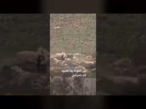 جنود إسرائيليون ينهبون منازل جنوب لبنان