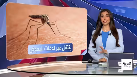 تفشي فيروس شيكونغونيا في الصين وتصاعد المخاوف العالمية