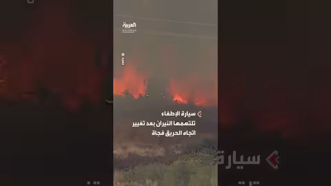 رجال إطفاء برتغاليون ينجون من حرائق الغابات