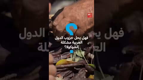 بديل الكاكاو: الخروب كحل زراعي مستدام