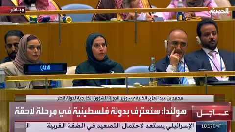 قطر تدعو إلى حل الدولتين وتدين الاعتداءات الإسرائيلية