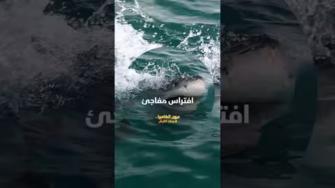 افتراس مفاجئ