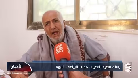 أمطار غزيرة تنعش الزراعة وتُحيي الآمال في شبوة