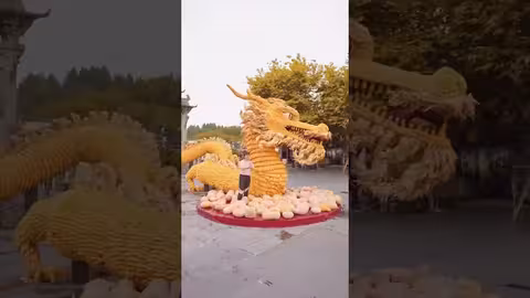 تنين من الذرة يجذب السياح إلى قرية سيدي القديمة في الصين