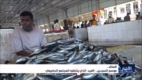 موسم السردين في المكلا: تقاليد غذائية واقتصادية عريقة