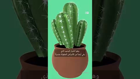 وسائل منع الحمل غير الهرمونية: خيارات وفعالية