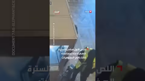 فيديو يكشف تفاصيل سرقة متحف اللوفر