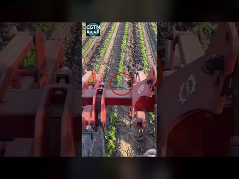 طائر يتحدى آلة ضخمة لأسباب مؤثرة