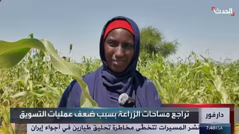 السودان: تراجع الزراعة في دارفور بسبب الحرب وضعف التسويق
