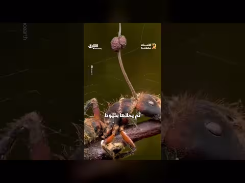 تناول الطعام يسهم في تخفيف الوزن