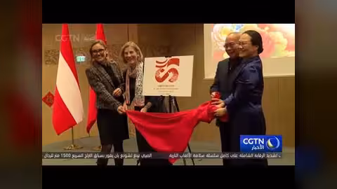 احتفالات البعثات الدبلوماسية الصينية بعيد الربيع حول العالم