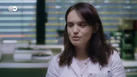 ثورة في طب زراعة الأعضاء: القلوب الاصطناعية