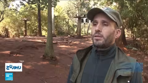 المغرب يحمي طائر أبو منجل الأصلع الشمالي