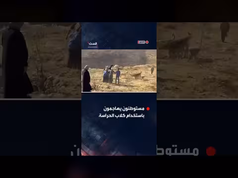 مستوطنون يهاجمون عائلة فلسطينية في جنوب الخليل