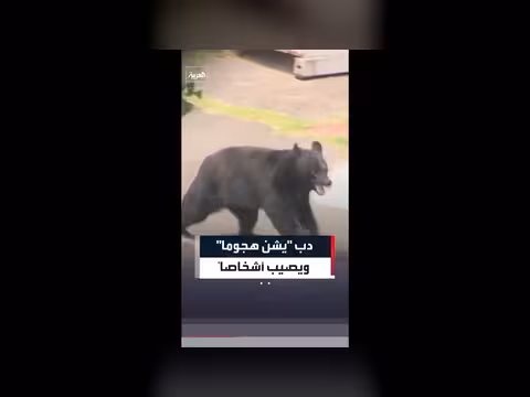 دب شارد يهاجم أشخاصًا في اليابان