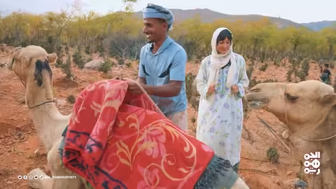 سقطرى: تجربة بدوية فريدة على ظهر الجمال