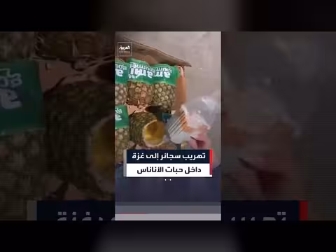إسرائيل تضبط سجائر مخبأة في حبات أناناس