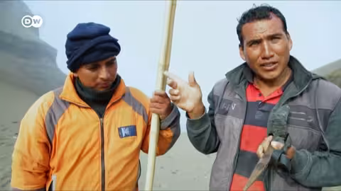 وثائقي | بورونغا - مخاطر الصيد بين الصحراء والمحيط الهادئ في بيرو | وثائقية دي دبليو