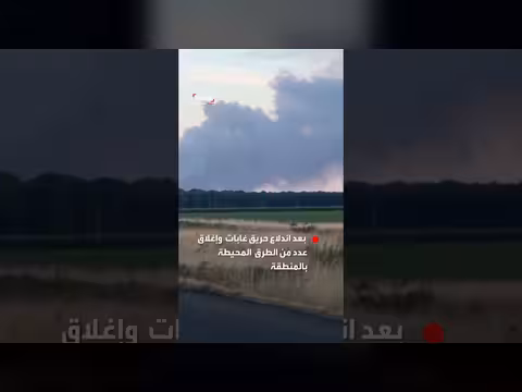 سحابة دخان تغطي جنوب باريس بعد حريق غابات