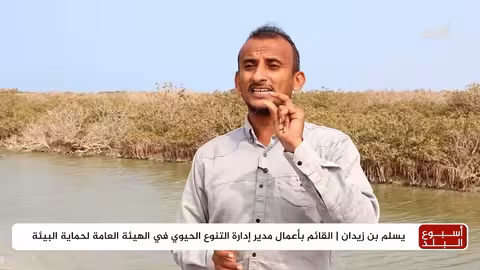 جفاف المنجروف في الحديدة: تهديد لرزق الصيادين وتدهور بيئي