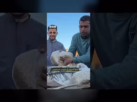 حيوانات غزة تعاني من الجوع والأمراض