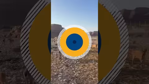 محمية عبد الله الدويله: جهود ذاتية لحماية الوعول في حضرموت