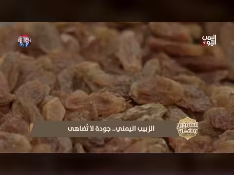 الزبيب اليمني: تراث زراعي يذوقه العالم