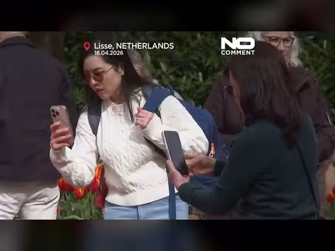 حديقة كوكينهوف الهولندية تجذب زوارا من العالم لعروض الربيع