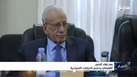 قرارات العليمي السيادية: دعم سعودي وتوجيه للانتقالي