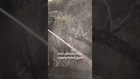 الأرجنتين: حرائق غابات مدمرة تنتقد إدارة الرئيس ميلي