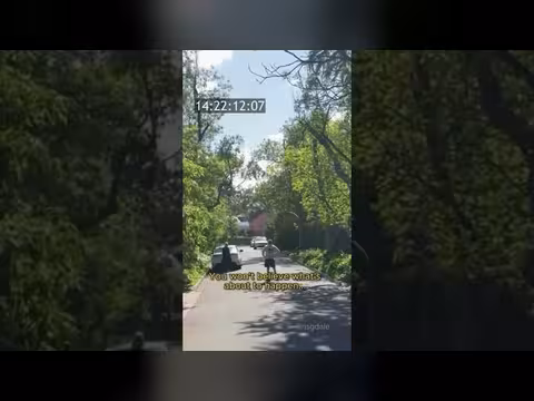 امرأة تنجو من مطاردة رجل بمساعدة امرأة أخرى