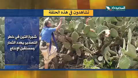 اليمن: قضايا متنوعة بين غزة وأزمات محلية