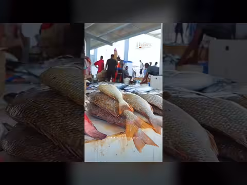 المكلا: سوق السمك في حضرموت. . ذاكرة الزمان