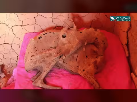 مومياوات غامضة تحت الرمال في حضرموت