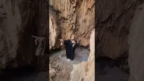 شجرة الغريب اليمنية: رحلة في عمق التاريخ والتراث