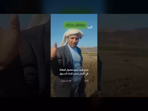 مزارع في ذمار يترك محصول البطاط بسبب كساد السوق