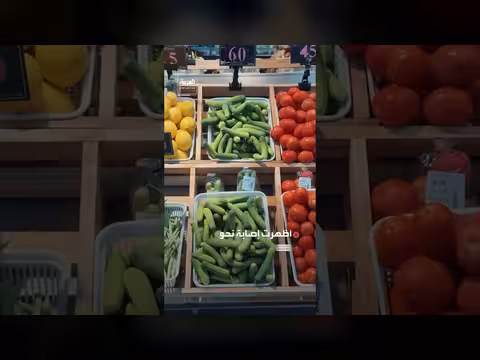 منظمة الصحة العالمية تحذر من الأغذية الملوثة